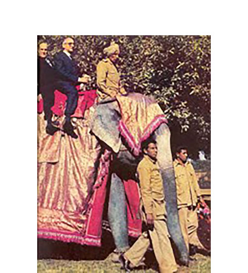 frondizi india